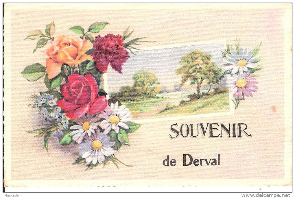 SOUVENIR DE DERVAL - Derval