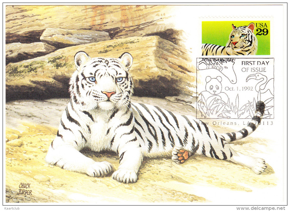 BENGAL TIGER  - First  Day Of Issue Postcard, 1992 USA - 29C Stamp - Tigers