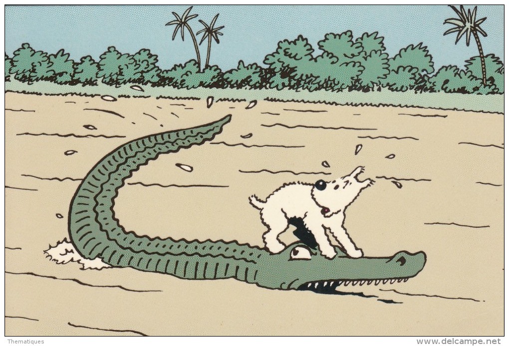 Thématiques Tintin Et Milou  Tintin Au Congo Alligator Ou Crocodile C'est Caïmans Pareil - Bandes Dessinées