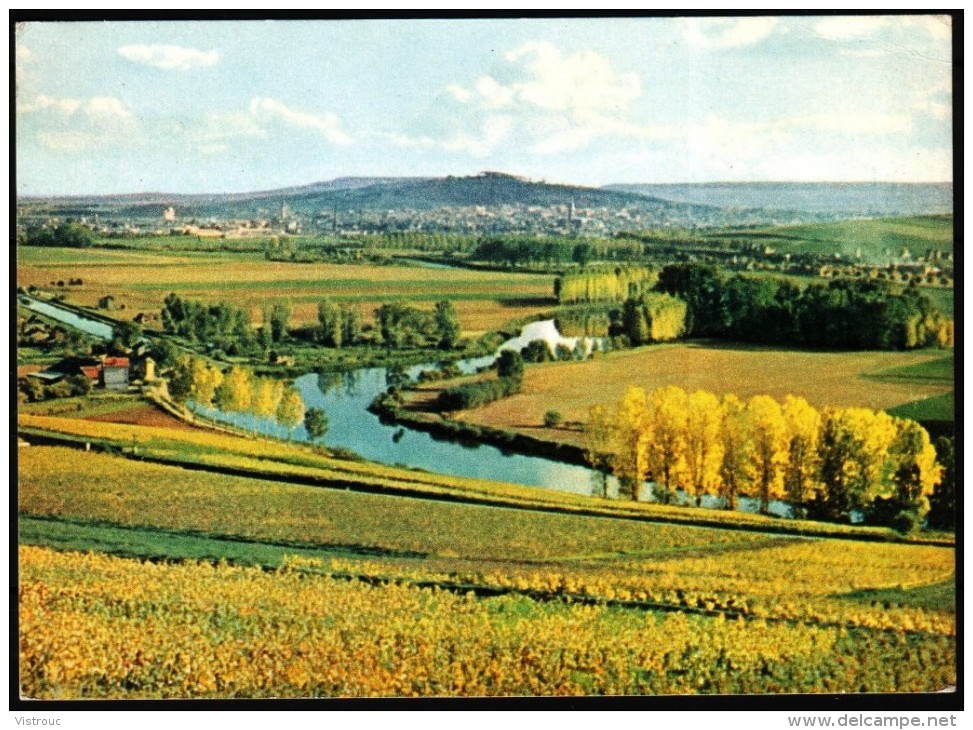 EPERNAY - Maison Moët Et Chandon - Vignobles D'Hautvillers Et Marne - Non Circulé - Not Circulated - Nicht Gelaufen. - Epernay