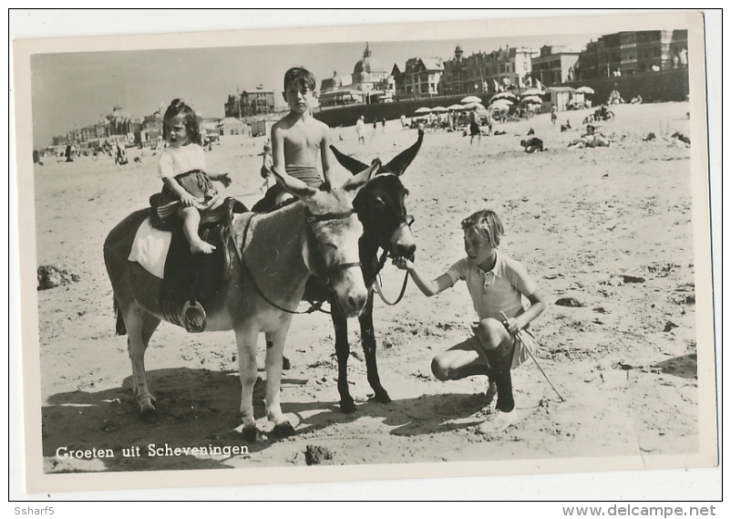 Scheveningen Scherpe Fotokaart 1953 Groeten Uit Beach Life With Children And Donkey - Scheveningen