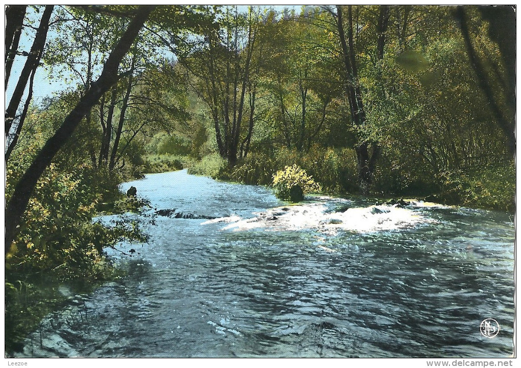 Carte Postale Maissin, La Lesse, Un Coin Sauvage - Paliseul