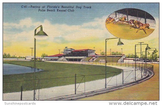 Florida Palm Beach Greyhound Racing At Palm Beach Kennel Club Curteich - Palm Beach