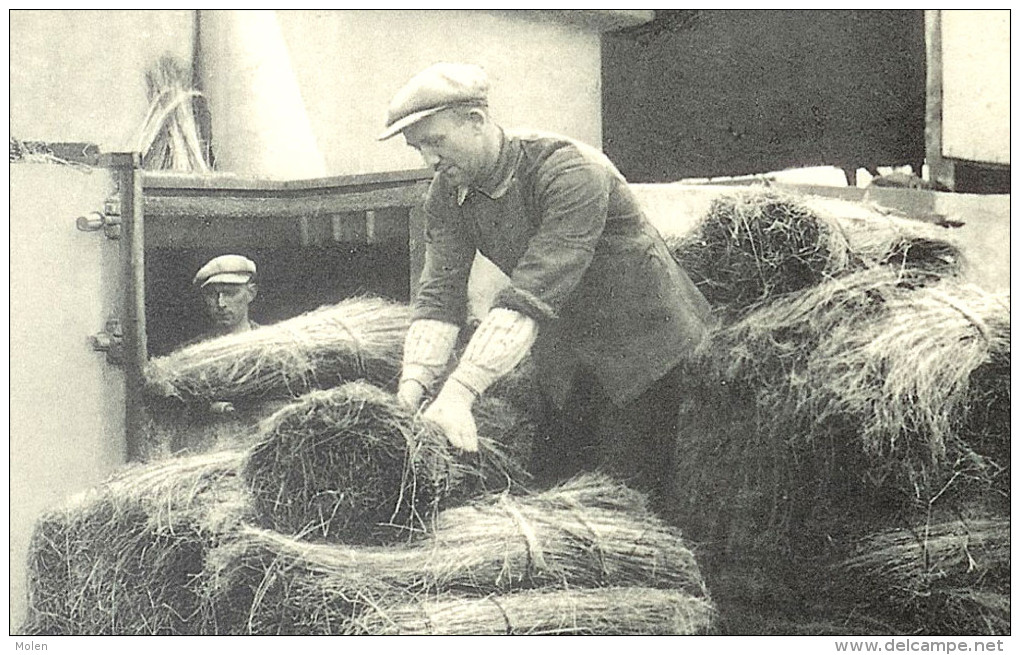 CULTURE  DU LIN = VIDANGE Des CUVES = LEGEN Vande BASSINS - Regio KORTRIJK - VLAS FLAX LEIN LINO LINHO - BOER PAYSAN L99 - Kortrijk