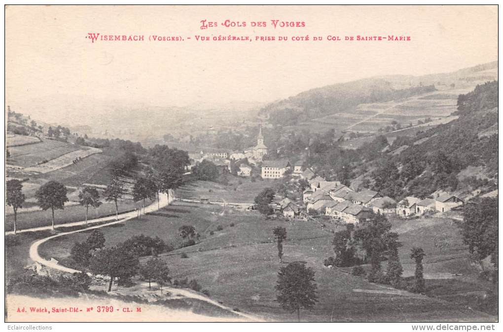 Wisembach      88     Vue Générale   ( Voir Scan) - Andere & Zonder Classificatie