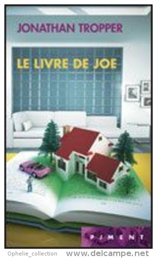 Le Livre De Joe Jonathan Tropper - Roman Noir