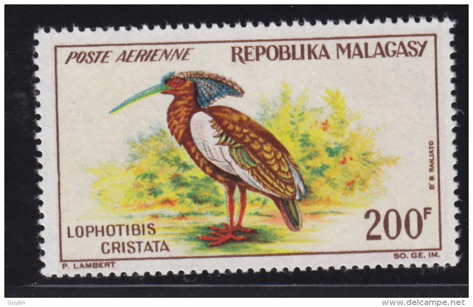 # Madagascar, Malagasy  Aerien, Aviation Yt 91 ** SC .. Oiseau Jhis Hupé .. Cote  = 10.00 - Madagascar (1960-...)