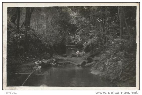 Equatorial Guinea 1920s Rio Muni Transporte Fluvial De La Medera Forestry Forest Logs Agfa Viewcard - Guinea Ecuatorial