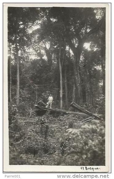 Equatorial Guinea 1920s Rio Muni El Bosque Forestry Forest Agfa Viewcard - Äquatorial-Guinea