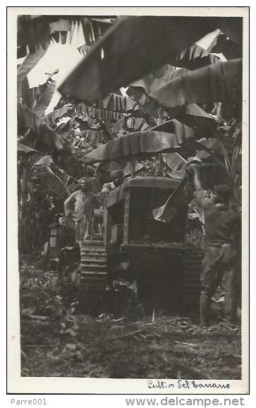 Equatorial Guinea 1920s Rio Muni Colonial Banano Banana Plantation Agriculture Tractor Agfa Viewcard - Guinée Equatoriale