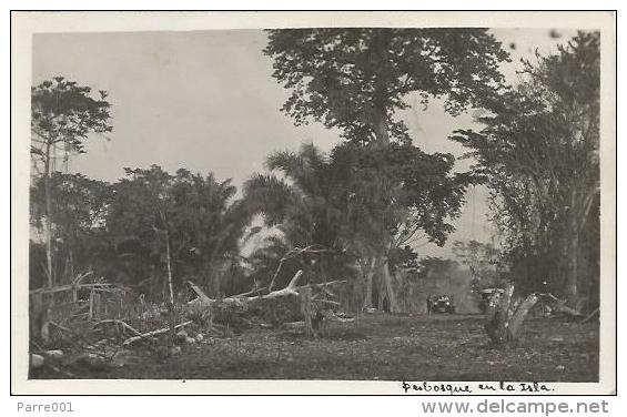 Equatorial Guinea 1920s Rio Muni Perbosque En La Isla Agfa Viewcard - Äquatorial-Guinea