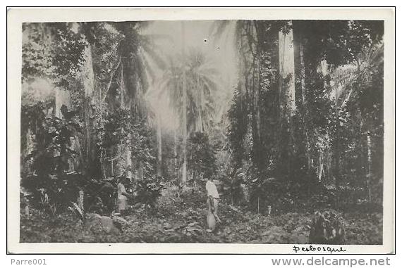 Equatorial Guinea 1920s Rio Muni Perbosque Agfa Viewcard - Guinea Equatoriale