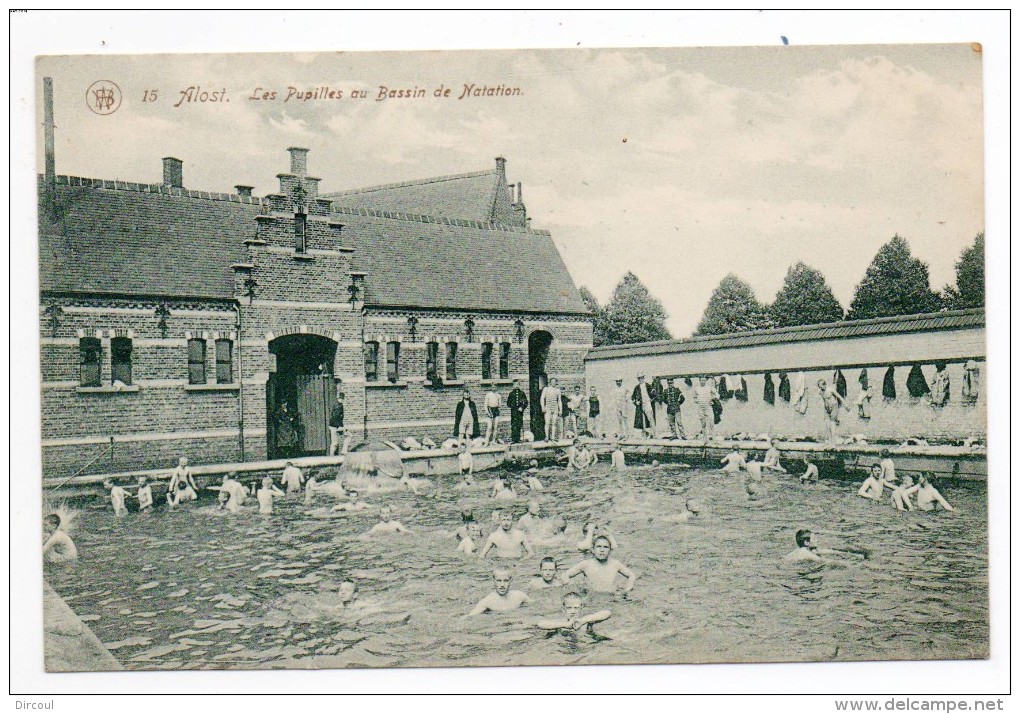 29616  -     Aalst   Alost  Les Pupilles  Au Bassin De  Natation - Aalst