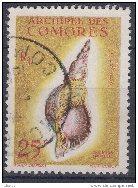 Comoro Islands 1962 Shell Yvert#24 Used - Gebruikt