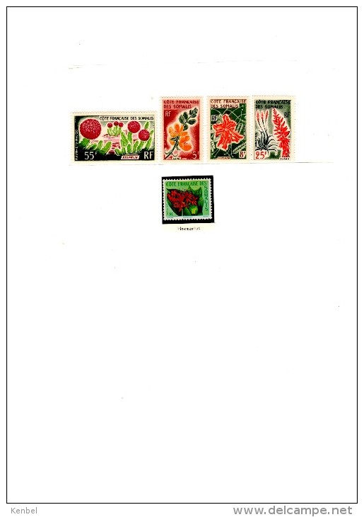 Flore, 5 Timbres Neufs, Aloes, Séné, Stapélie,poinciana - Ungebraucht