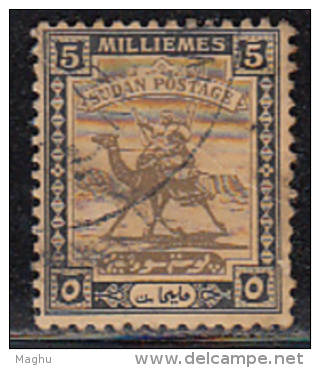 5m Sudan Used 1924, Camel, Animal - Sudan (...-1951)