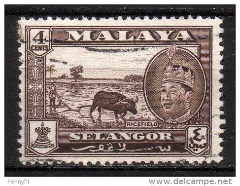SELANGOR - 1961/62 YT 81 USED - Selangor