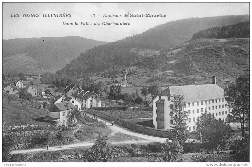 Saint Maurice Sur Moselle    88      Vallée Des Charbonniers - Autres & Non Classés
