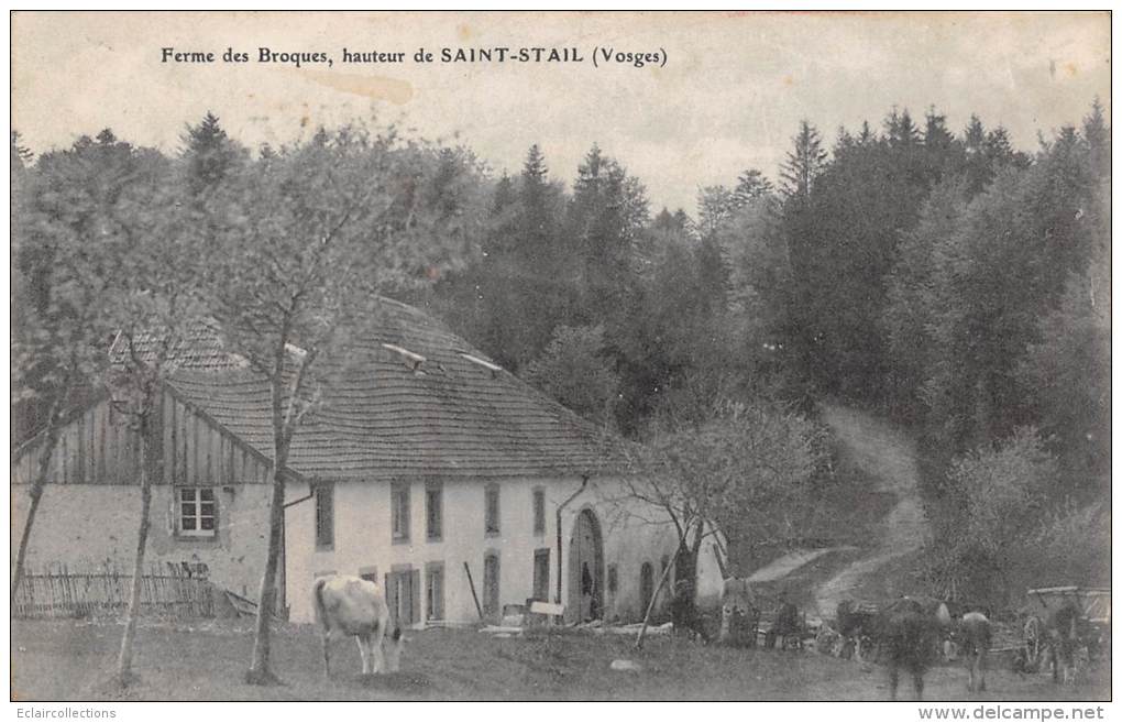 Saint  Stail    88      Ferme Des Broques - Andere & Zonder Classificatie