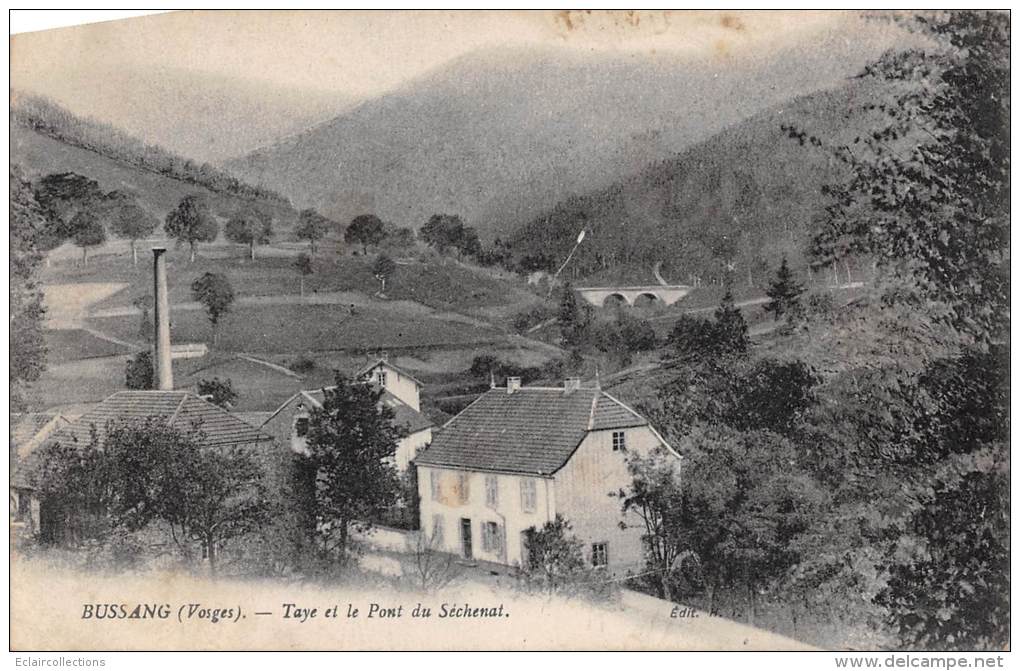 Bussang    88       Taye Et Le Pont Du Séchenat (le Défault Provient Du Scan) - Bussang