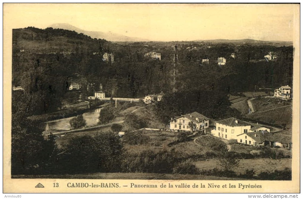 N° 732-WW-62  CAMBO LES BAINS PANORAMA DE LA VALLEE DE LA NIVE ET LES PYRENEES - Cambo-les-Bains