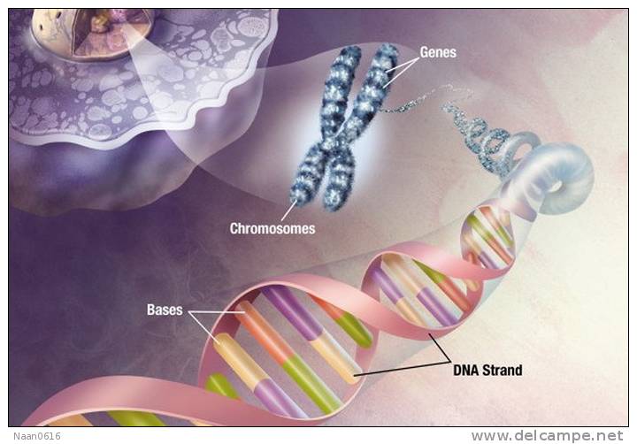 [NZ08-091  ]    Chemistry Gene DNA Biochemistry, Postal Stationery --Articles Postaux -- Postsache F - Chemistry