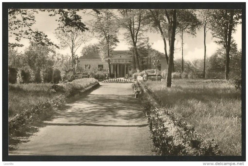 ZÖRBIG Park Sachsen-Anhalt Bitterfeld Köthen - Zörbig