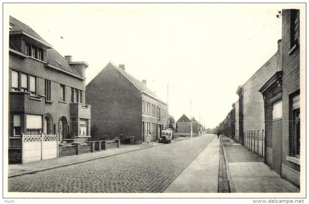 BELGIQUE - FLANDRE OCCIDENTALE - DEERLIJK - Waregemstraat. - Deerlijk