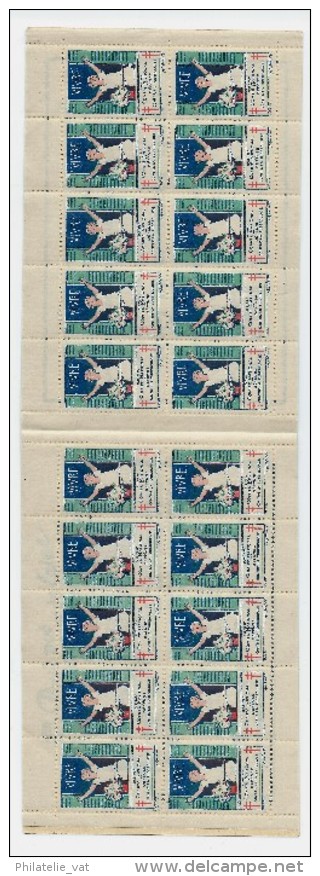 FRANCE  CARNET VIGNETTE ANTI TUBERCULEUX   1929 LUXE - Blokken & Postzegelboekjes