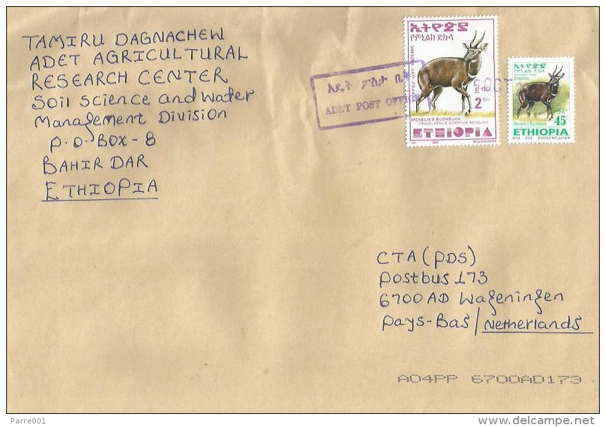 Ethiopia 2005 Adet Postal Agency Bushbuck Antilope Cover - Ethiopië