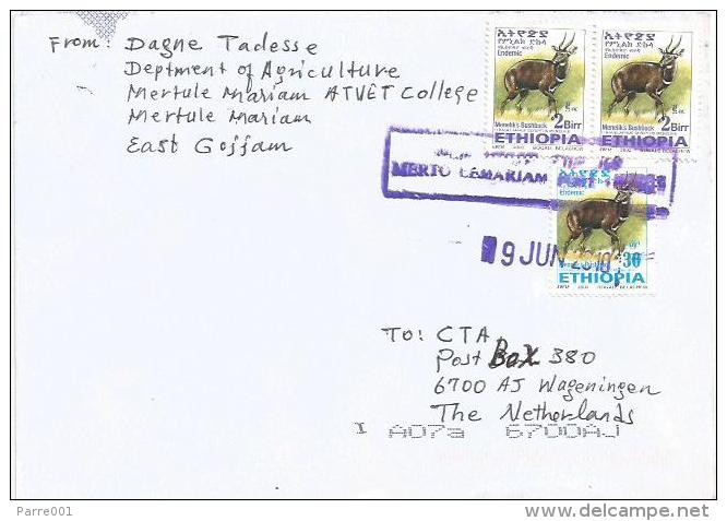 Ethiopia 2010 Merto Lemariam Postal Agency Bushbuck Antilope Cover - Ethiopië