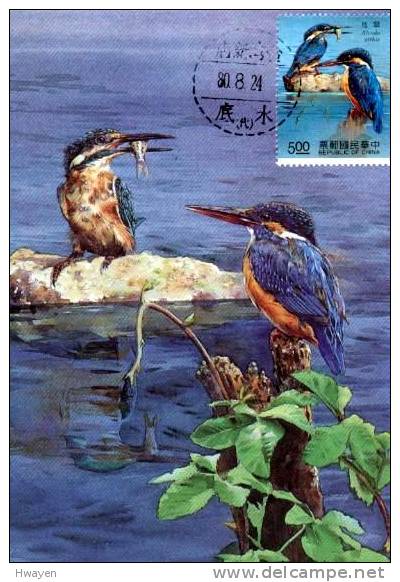 Taiwan Stream Bird Carte Maximum Card Common Kingfisher Oiseau 1991 (47) - Other & Unclassified