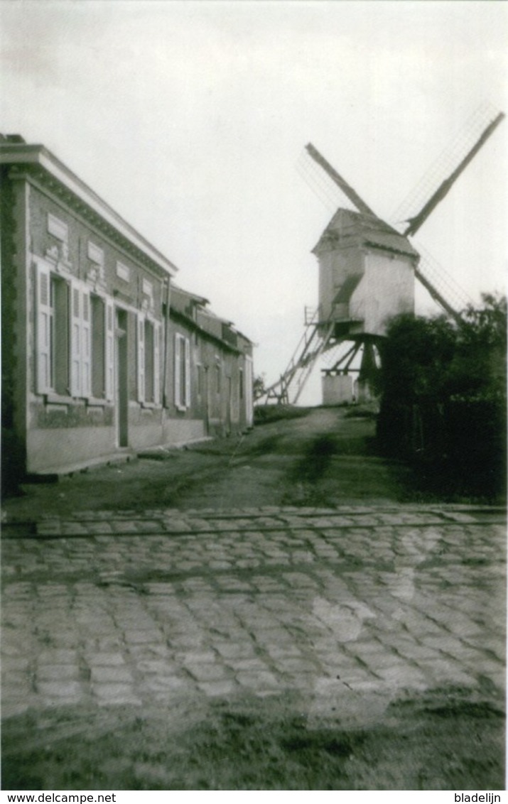 ONZE-LIEVE-VROUW-WAVER - Sint-Katelijne-Waver (Antw.) - Molen/moulin - Maxikaart Van De Verdwenen Nieuwe Molen - Sint-Katelijne-Waver