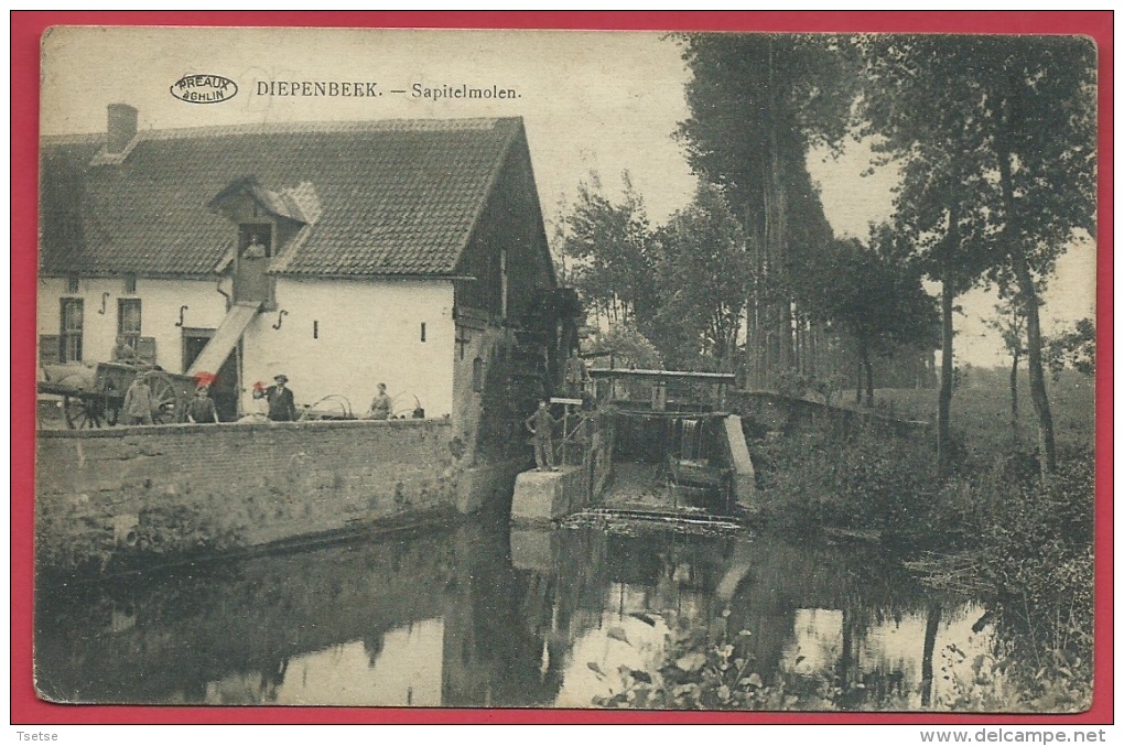 Diepenbeek - Sapitelmolen ( Voir Verso ) - Diepenbeek