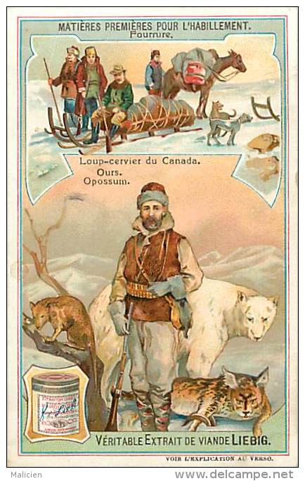 Chromo - Ref A34 - Liebig - Matieres Premieres Pour L Habillement - Fourrure - Loup Cervier Du Canada - Ours - Opossum - - Liebig