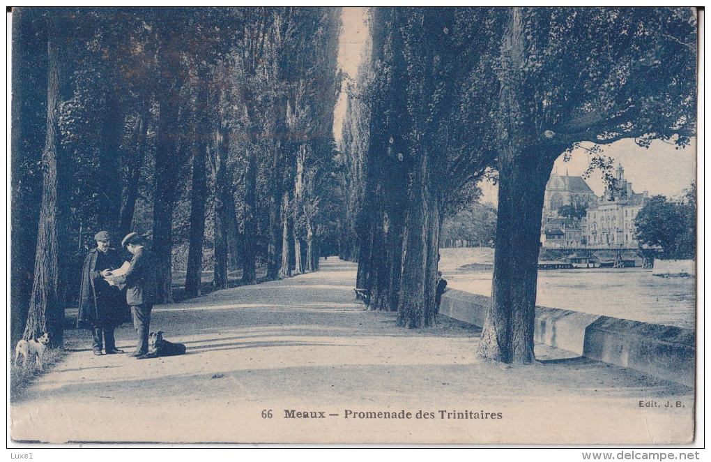 FRANCE ,  OLD POSTCARD  MEAUX  TRAVEL 1925. , Dogs - Meaux