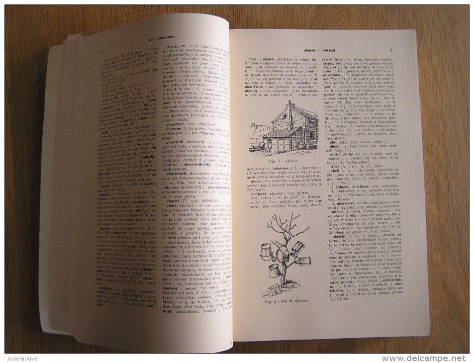 DICTIONNAIRE LIEGEOIS Haust Jean 1979  Régionalisme Dialecte Patois Parler Dialectal Wallon Folklore Province De Liège - Belgium