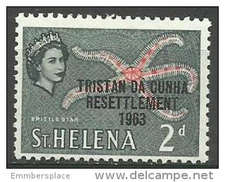 Tristan Da Cunha - 1963 St Helena (Resettlement O/print) Brittle Starfish 2d MNH **     SG 57  Sc 57 - Tristan Da Cunha