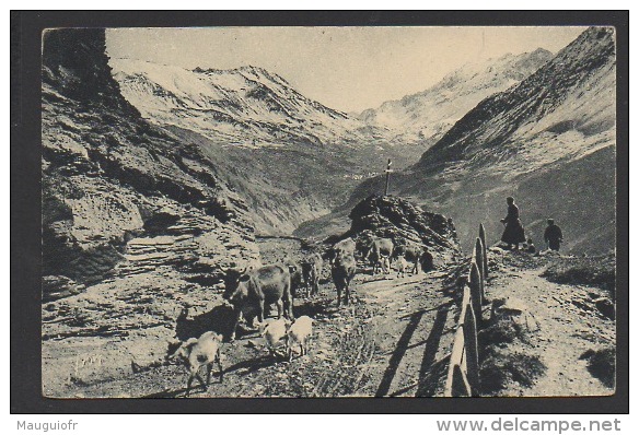 DF / 05 HAUTES ALPES / LE CHAZELET / EN ROUTE POUR LES PATURAGE ( VACHES ET CHÈVRES ) - Autres & Non Classés