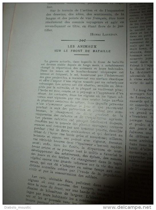 1917: FROID++;Fête Serbe St-Sava;Animaux Sur Le Front;Aqu SCOTT;Train MOURMAN;Skieurs Ital;Sarantaporos; Fin Du GAULOIS - L'Illustration