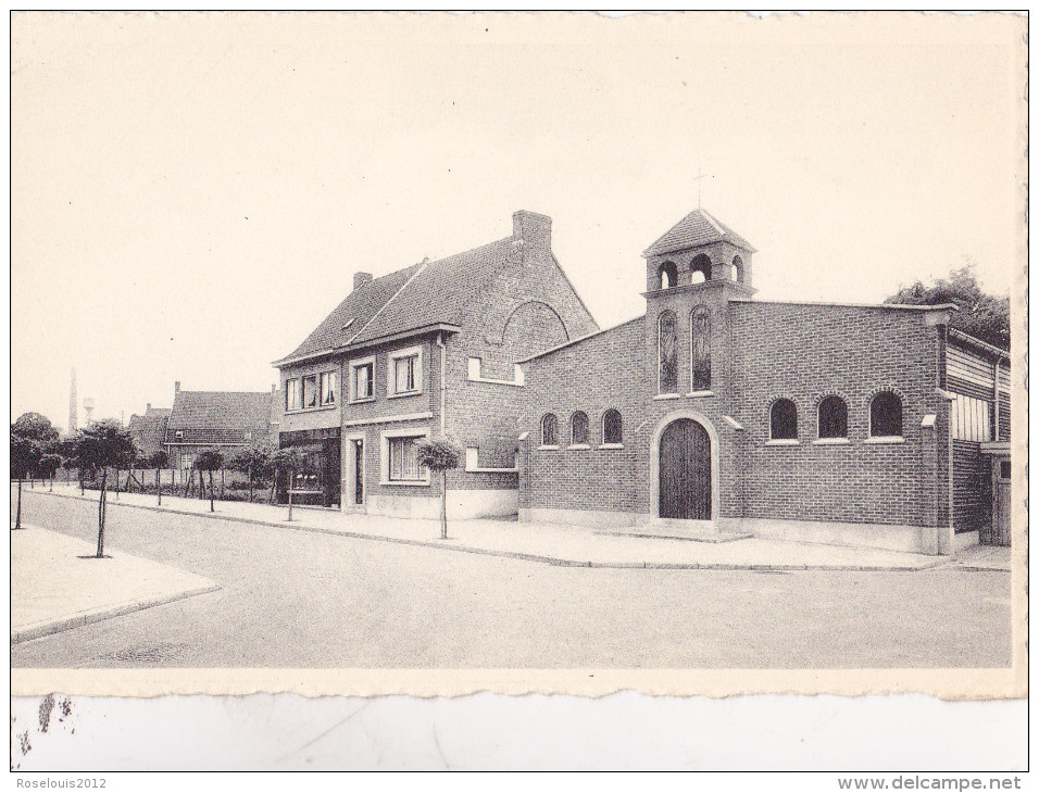 ZWEVEGEM : Kerk, Wijk "Kapaert" - Zwevegem