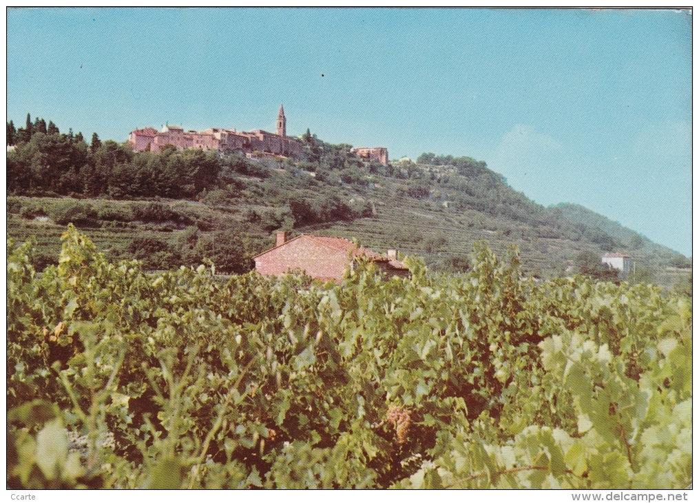 LA CADIERE D'AZUR / CPM - UNE VUE GENERALE ET LES VIGNOBLES - Altri & Non Classificati