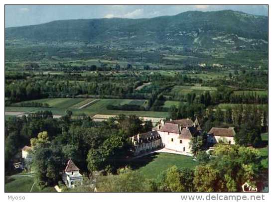 38   BRANGUES Vue Aerienne Le Chateau - Brangues