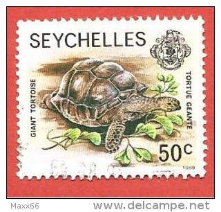 SEYCHELLES USATO - 1980 - Zil Elwannyen Sesel - Wildlife- Giant Tortoise - 50 Cent- Michel SC-ZE 7 - Seychelles (1976-...)