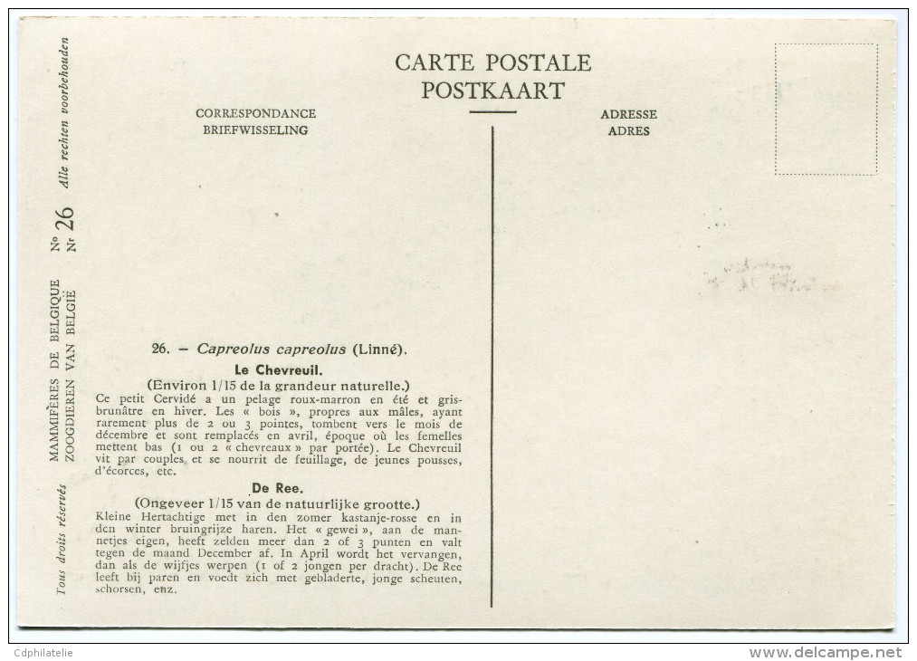 ST PIERRE ET MIQUELON CARTE MAXIMUM DU N°374  5F. CHEVREUILS  OBLITERATION ST PIERRE ET MIQUELON 28-9-1964 - Cartes-maximum