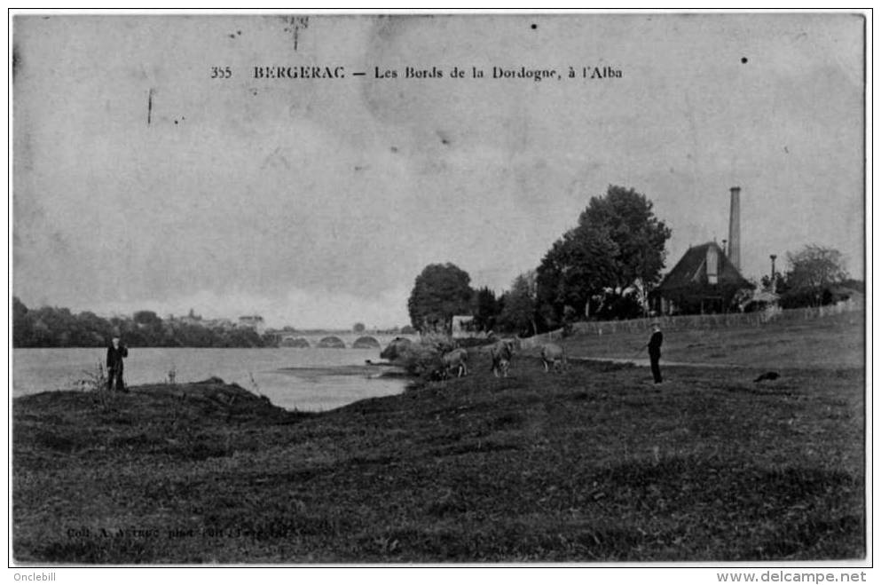 Bergerac Dordogne Bords Dordogne Alba Vaches 1910 état Superbe - Bergerac