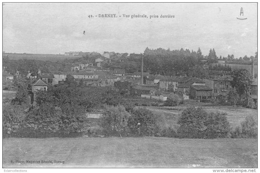 Darney    88      Vue Générale Prise Derrière - Darney