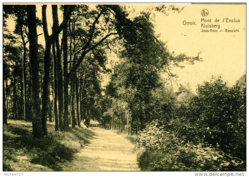 ORROIR  MONT DE L'ENCLUS   SOUS BOIS    CPA 1468 - Kluisbergen