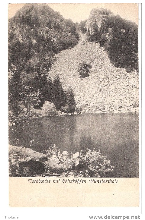 Allemagne-Münstertal-Münsterthal(Freiberg-Bade Wurtemberg)-Fischboedle Mit Spitsköpfen-Zahneissen-Wieland, Münster-1906 - Münstertal