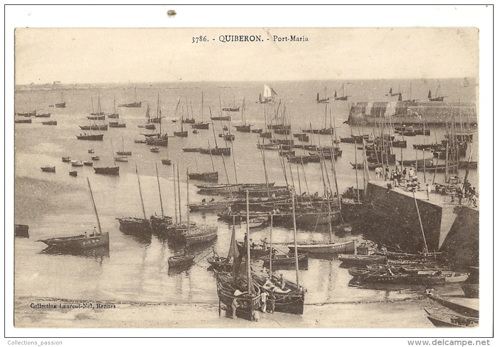 Cp, 56, Quiberon, Port-Maria - Quiberon